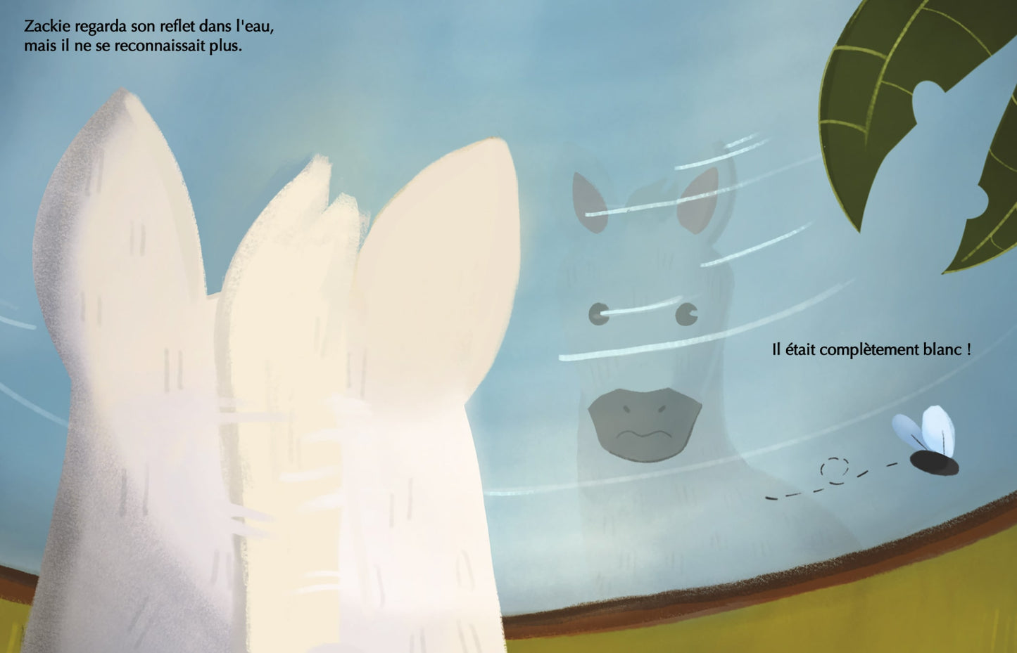 Zekkie Zebra - Coffret de deux livres illustrés [RÉSERVATION]