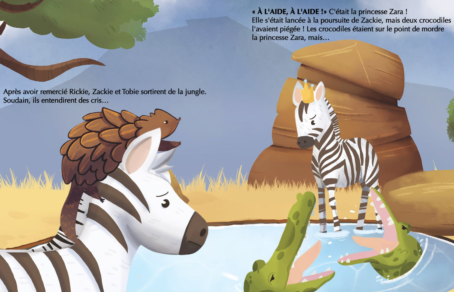 Zekkie Zebra - Coffret de deux livres illustrés [RÉSERVATION]